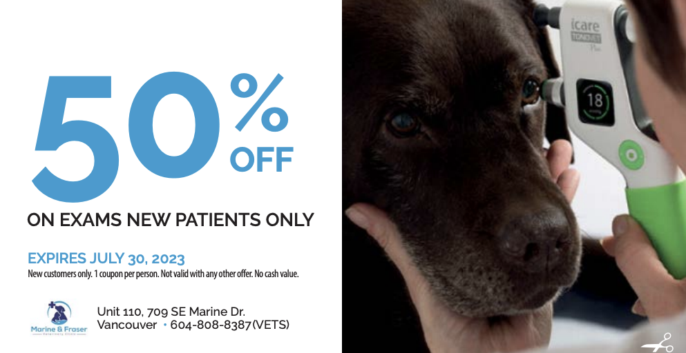 Screenshot 2026-04-27 at 7.50.05 AM