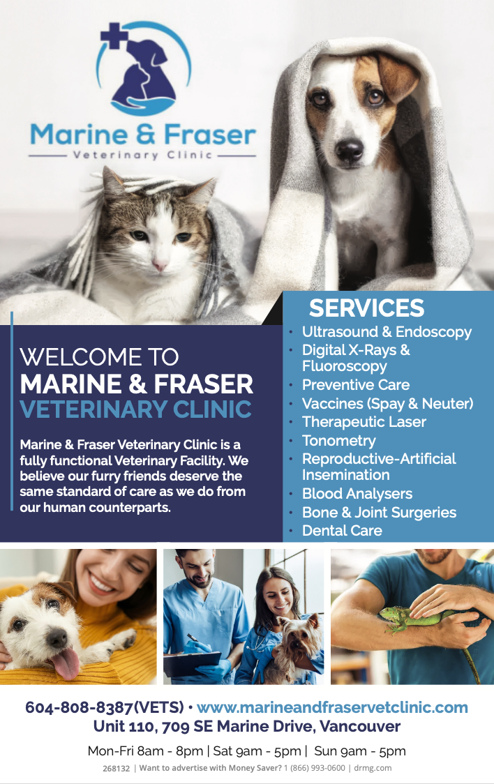 Screenshot 2026-04-27 at 7.51.53 AM