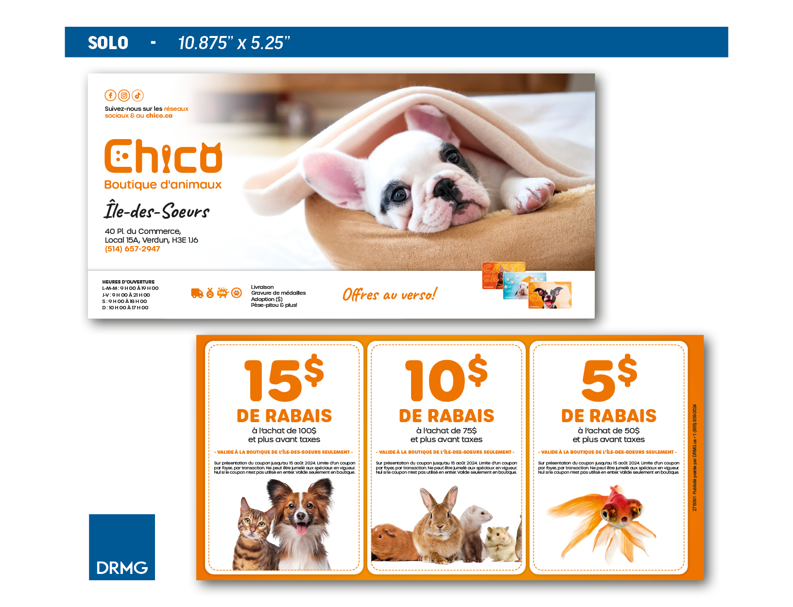 Solo - Animaux Chico 5 (1)