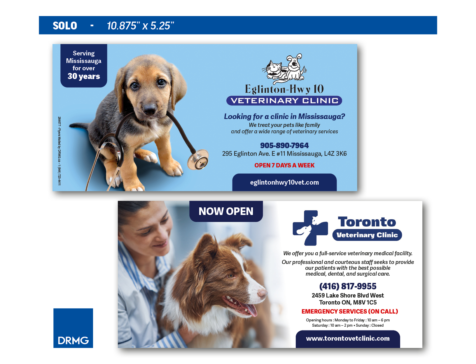 Solo - Animaux vétérinaire Solo - Animaux vétérinaire