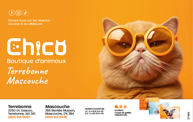 cat-page-header