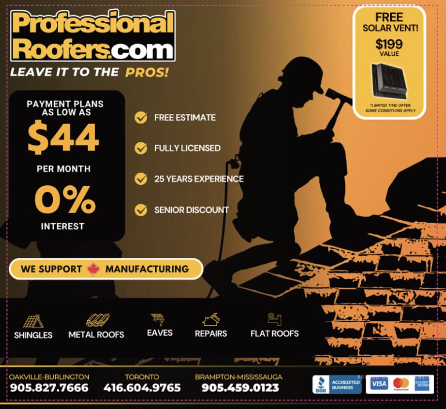 professional-roofers.com